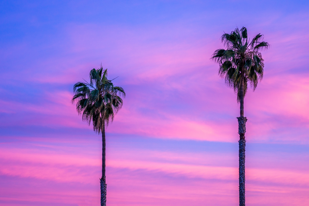 Lorem ipsum Lorem ipsum