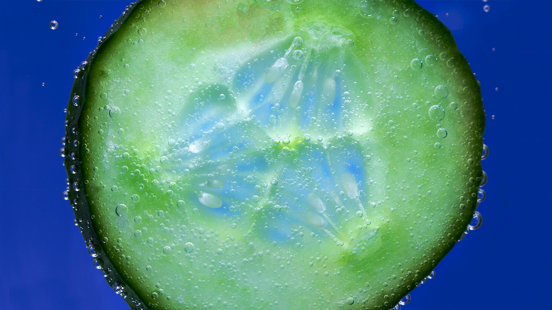 what-connects-cool-cucumber-herofnl-1280x720