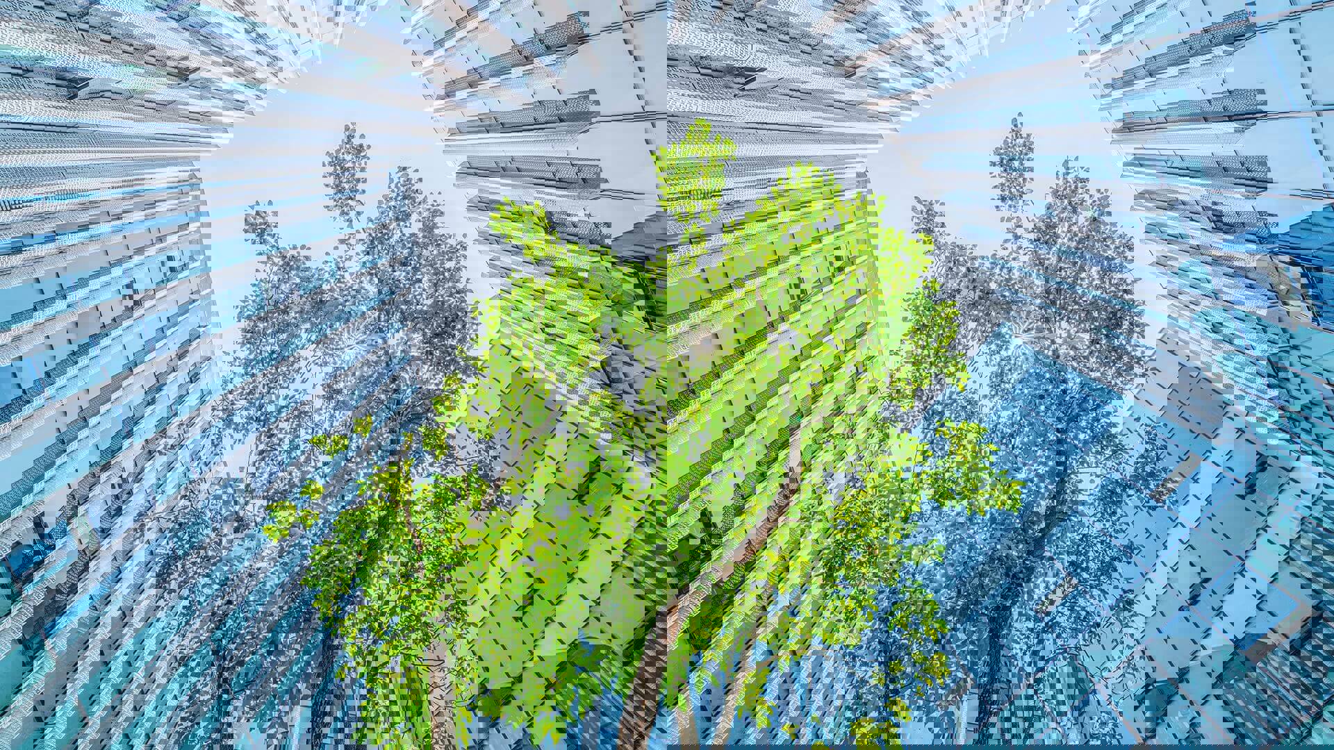 environmentalstrategy article 