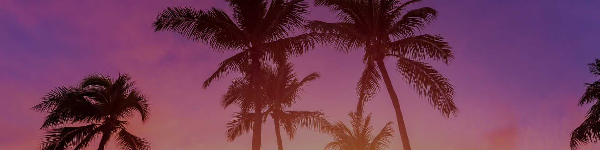 los-angeles-hero-1920x480-01