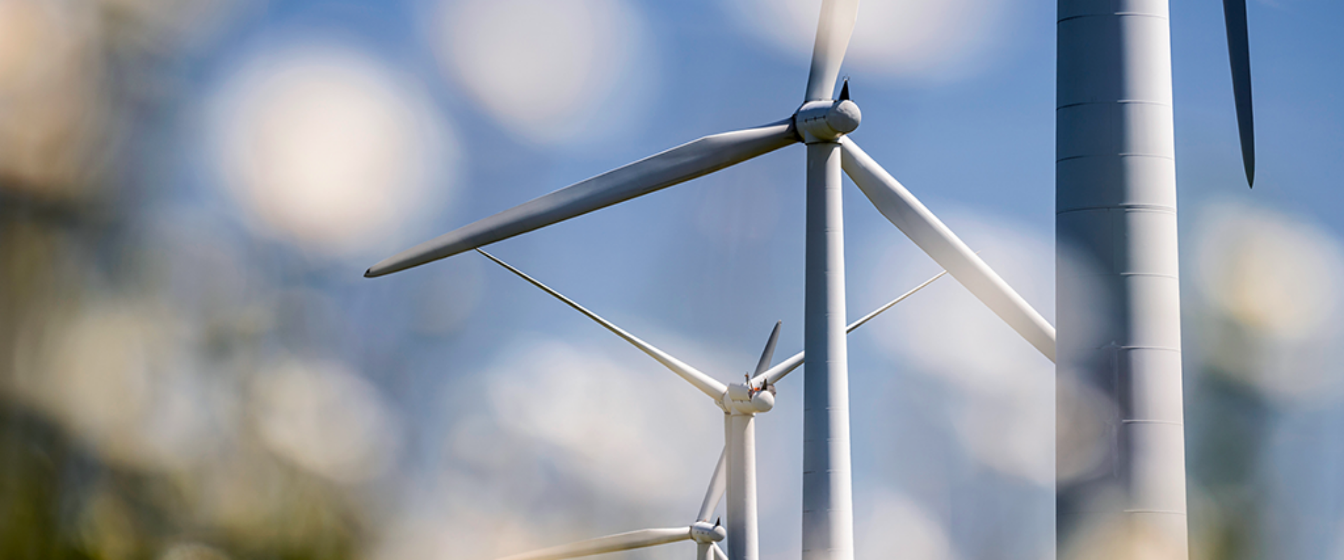 Wind turbines rotate gracefully in a verdant field, representing the transition to clean and renewable energy sources.