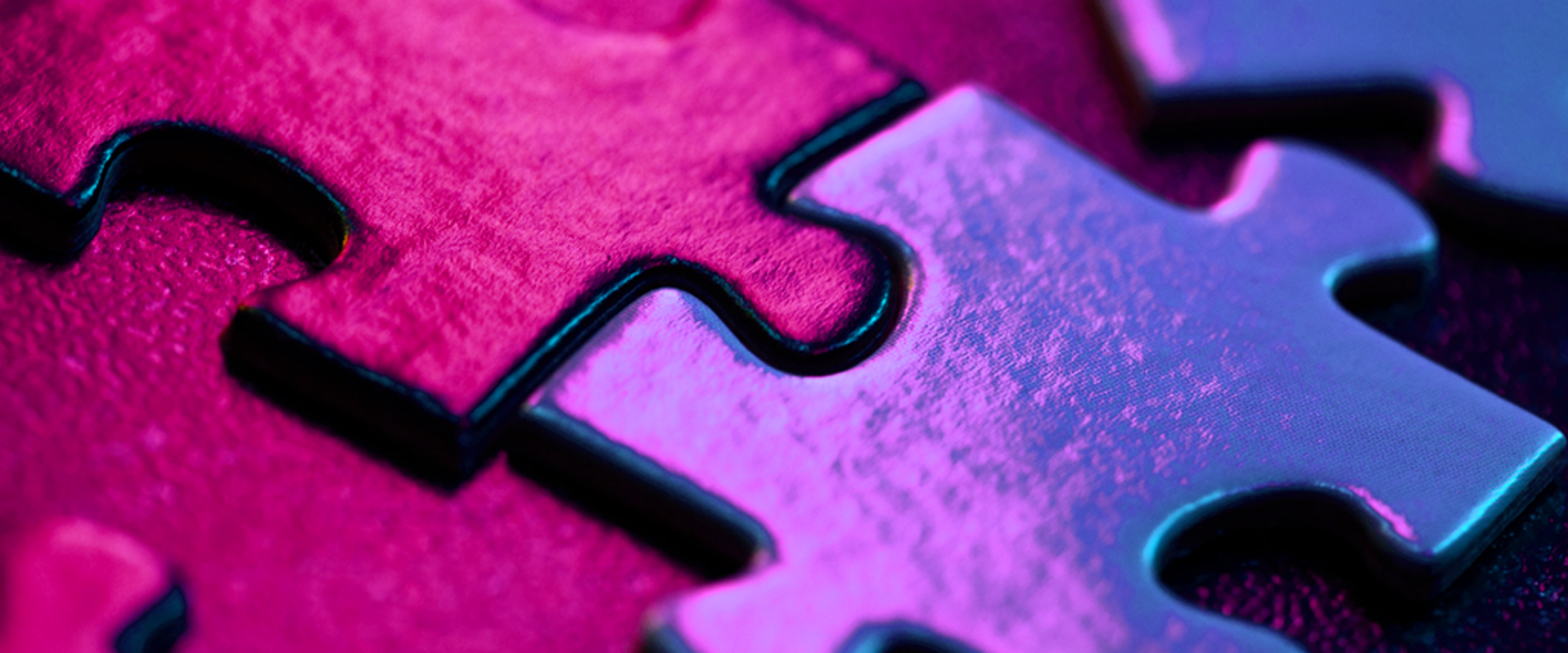 Various puzzle pieces arranged on a striking purple background, emphasizing their intricate designs and vibrant hues.