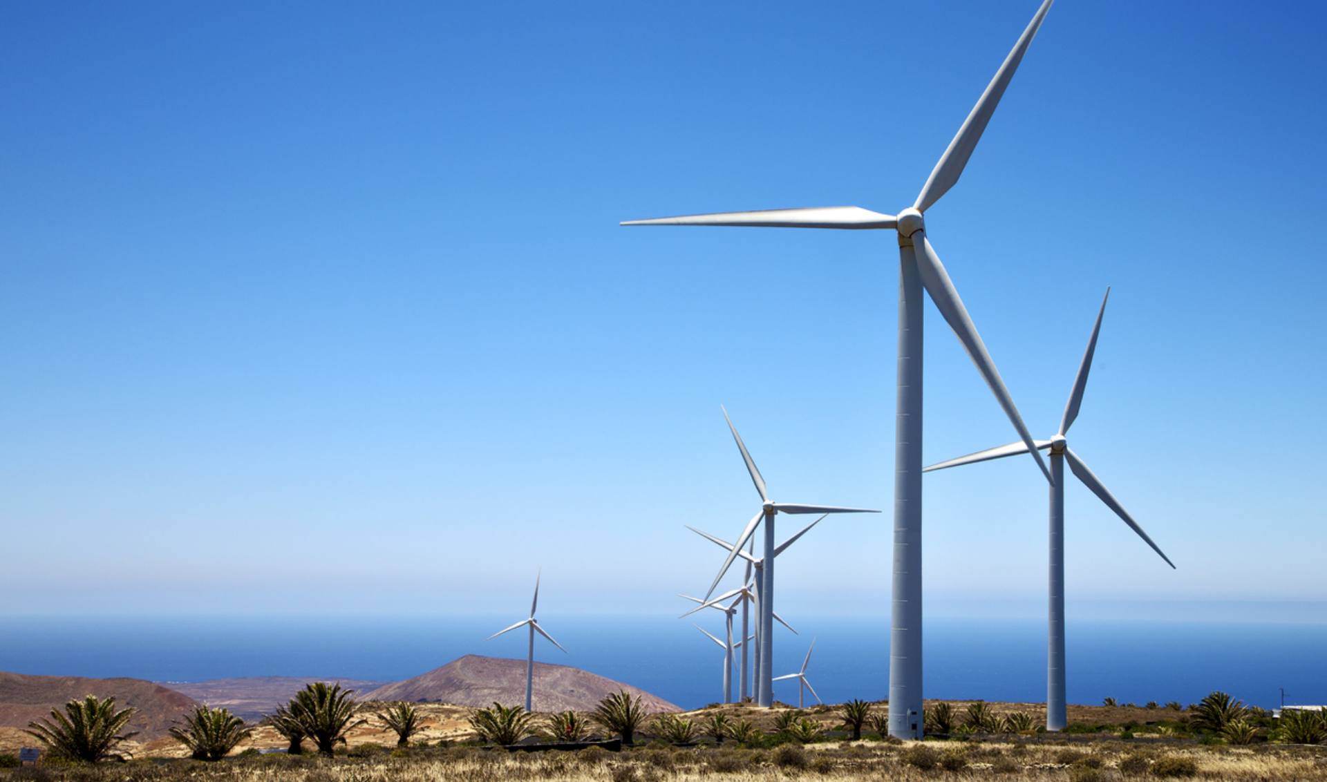 A scenic view of wind turbines in a field, contrasted by a bright blue sea and sky, representing sustainable energy production.