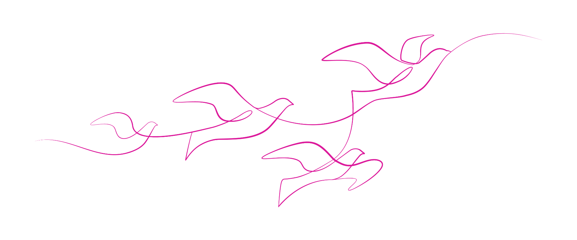 Illustration showing a flight of birds