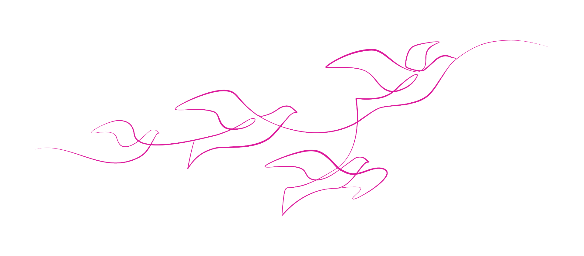 Illustration showing a flight of birds