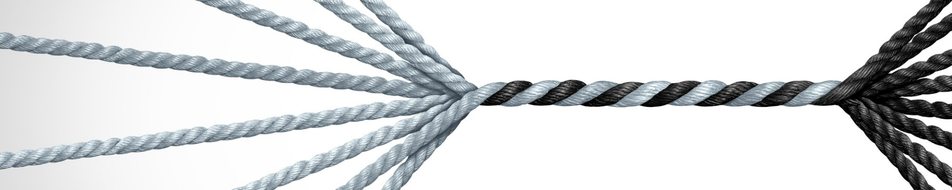 Detailed close-up of two ropes, one in black and the other in white, highlighting their contrasting colors and intricate fibers.