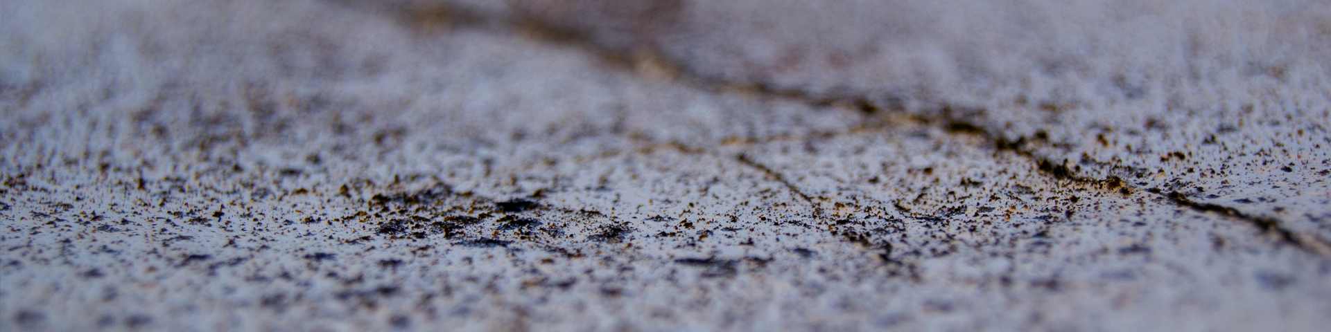 what-connects-tiny-crack-hero-1920x480