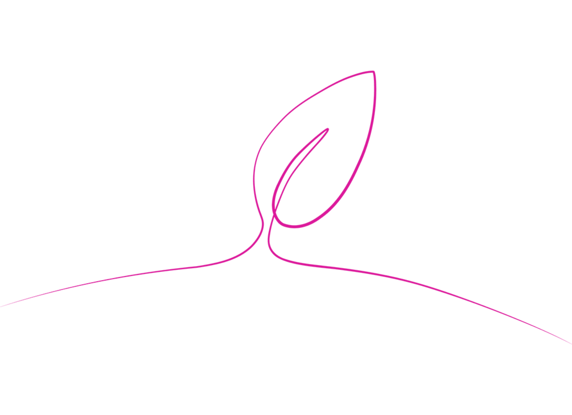 Illustration depicting a leaf